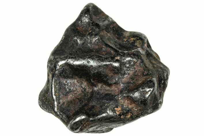 Agoudal Iron Meteorite ( g) - Morocco #303930